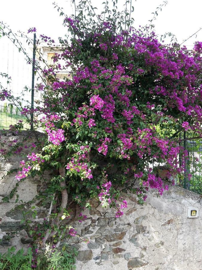 B&B Ai Tre Archi Spotorno Esterno foto
