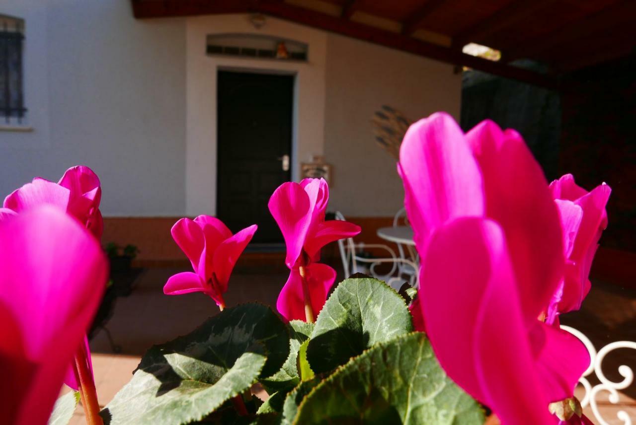 B&B Ai Tre Archi Spotorno Esterno foto
